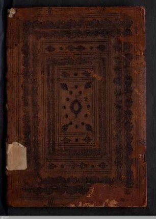 Biblia latina - Cod.bibl.fol.36
