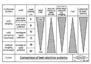Comparison of beet planting systems