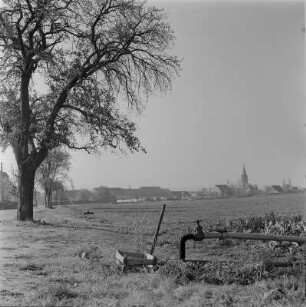 Dresden-Kaditz, Kötzschenbroder Straße 58. LPG Frühgemüsezentrum. Bewässerungsanlagen an der Grimmstraße