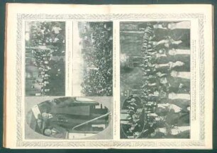 Llegada del eminente estadista francés M. Viviani. : Banquete en el Jockey Club