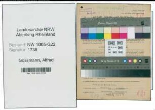 Entnazifizierung Alfred Gossmann , geb. 03.02.1914 (Einkaeufer)
