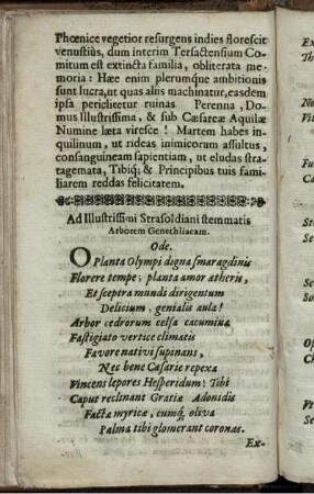 Ad Illustrissimi Strasoldiani stemmatis Arborem Genethliacam