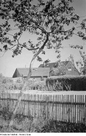 Außenansicht eines Hauses mit einem blühenden Obstbaum im Vordergrund