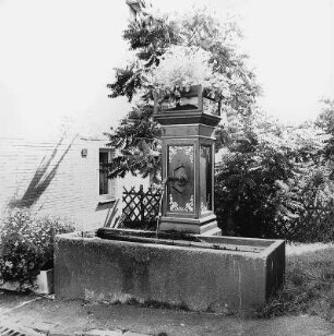 Brunnen; Idstein, Wilhelmstraße