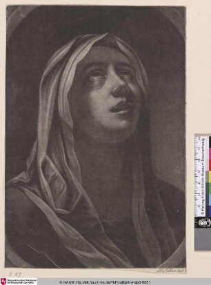 [Die Jungfrau als Mater Dolorosa; The Virgin as Mater Dolorosa]