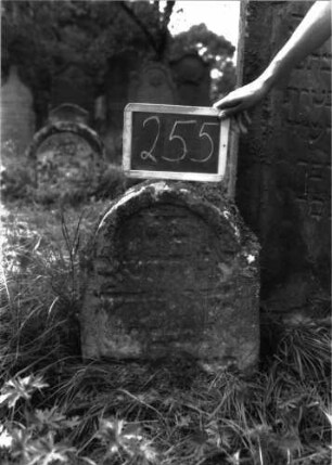 Grabstein 255 (Index: 100103223) Material: Sandstein Zustand: stark verwittert, eingesunken, weitgehender Textverlust Maße HxBxT: 60x46x15 cm Beschreibung: Stele, eingezogener Rundbogenabschluss, Schriftfeld eingetieft: Grabstein 255