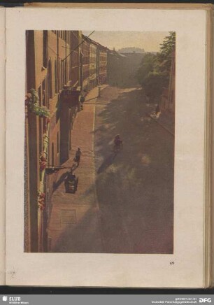 Morgenlicht