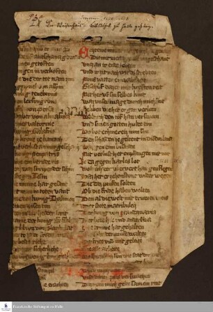 Wolfram von Eschenbach: Willehalm. Fragment.
