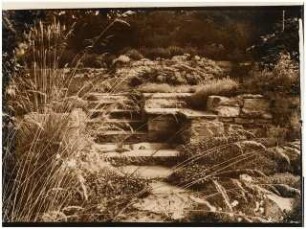 Garten von Bauer, Rhode: Steinbank mit Gräsern