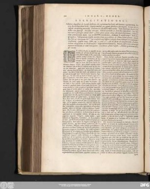 Exercitatio CXCI.