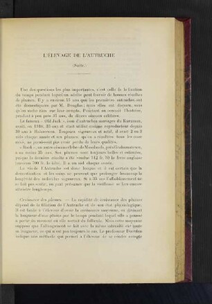 L'Élevage De L'Autruche.