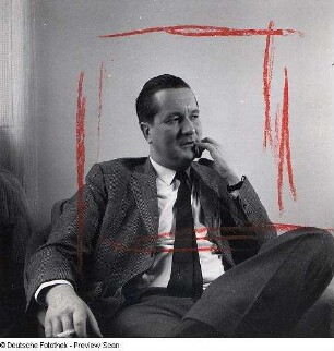 Portraitserie William Styron