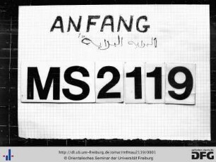MF Mau 2119