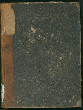Agenor und die Maurin : historischer Roman