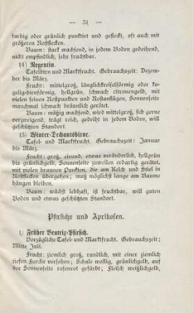 31-33 Pfirsiche und Aprikosen