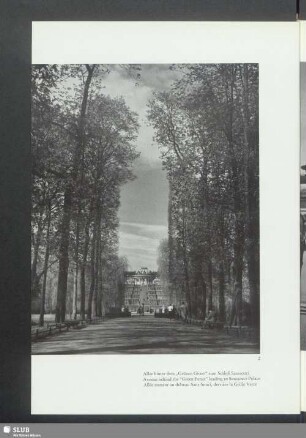 Allee hinter dem "Grünen Gitter" zum Schloß Sanssouci