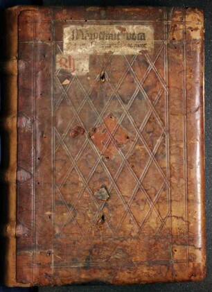 Mammotrectus super Bibliam
