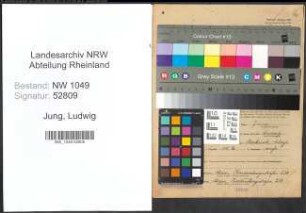 Entnazifizierung Ludwig Jung , geb. 01.02.1885 (Abteilungsleiter)