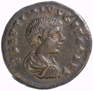 Münze, Denar, 203 - 208