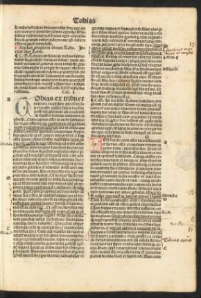 Incipit liber Tobie.