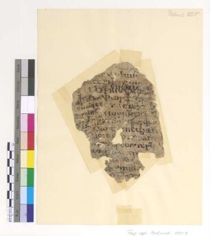 Psali on the 1st Ode