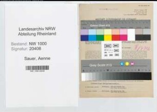 Entnazifizierung Aenne Sauer, geb. 24.09.1904 ()