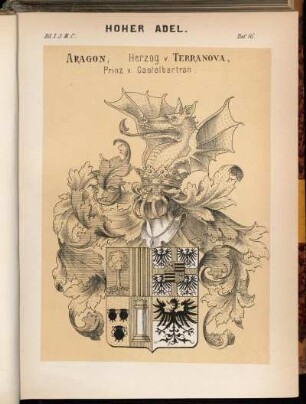 Taf. 16. Aragon, Herzog v. Terranova, Prinz v. Castelbertran.