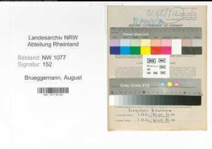 Entnazifizierung August Brueggemann , geb. 27.03.1896 (Schneider)