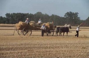Strohbergung mit Leiterwagen und Pferdegespann