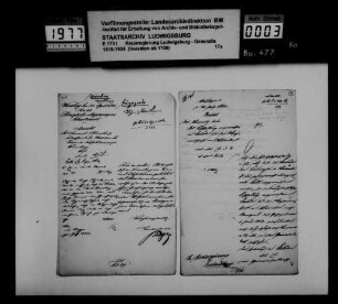 Einrichtung und Tätigkeit von Bürgerwachen, Bürgergarden und Jugendwehren im Neckarkreis