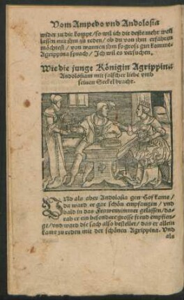 Wie die junge Königin Agrippina Andolosiam mit falscher liebe umb seinen Seckel bracht.