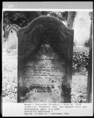Grabstein von Hindchen Levi, Witwe des Raphael Levi (+ 1858.08.06)