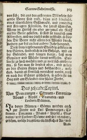 Das zehende Capitel. Von Pomeranzen- Citronen- Limonien- Adams- Aepfel- Granaten- und Lorbeer-Bäumen.