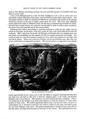 Side Cañons of the Colorado