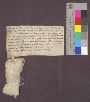 Graf Egeno von Freiburg übergibt dem Johann dem Morser die Vogtei über das Gut zu Schupfholz.
