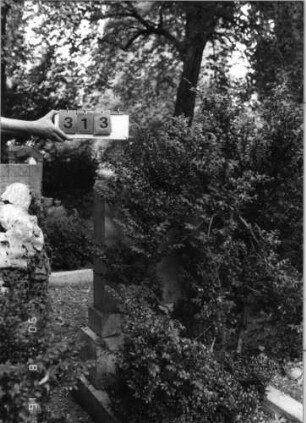 Grabstein 313 (Index: 99618435) Maße HxBxT: 130x68x17 cm Symbolik: Davidstern: Grabstein 313