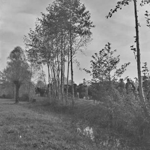 Spreewald um 1940. Trauerzug. Frauen in Trauertracht. : Błóta wokoło 1940. Přewodźenje. Žony w žarowanskej Błótowskej drasće.