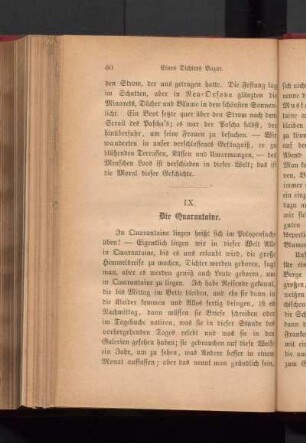 IX. Die Quarantaine.