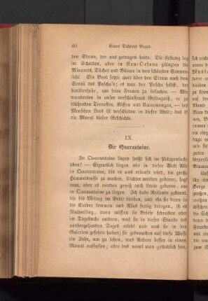 IX. Die Quarantaine.