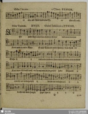 XVIII. Ist nicht Ephraim