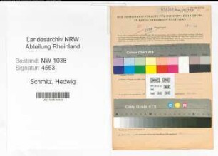 Entnazifizierung Hedwig Schmitz , geb. 04.09.1908 (Bueroangestellte)