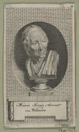 Bildnis des Maria Franz Arouet von Voltaire
