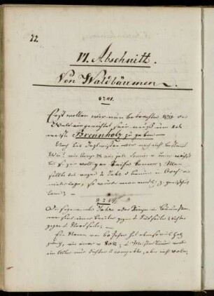 VI. Abschnitt. Von Waldbäumen.