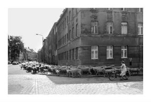 Hildebrandstraße, Ecke Dölitzer Straße