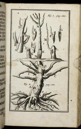 Fig. 1. pag. 130. - Fig. 2. pag. 141.
