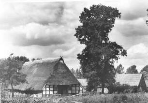 Ansicht eines Bauernhofes in der Elbmarsch. Eines der Häuser ist traditionell mit Reet gedeckt
