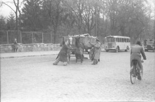 Bukarest: Pferdewagen am Botanischen Garten Cotroceni