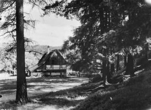 Oybin : Oybin. Blick Richtung Hochwald, Bauernhaus am Waldweg