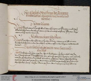 Rezepte gegen Krankheiten der Augen