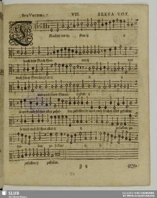VII. Trachtet am ersten